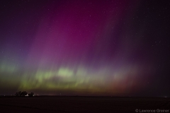 Aurora's