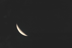 Luner-Eclipse_11_28_9315a