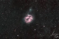 Cocoon-Nebula